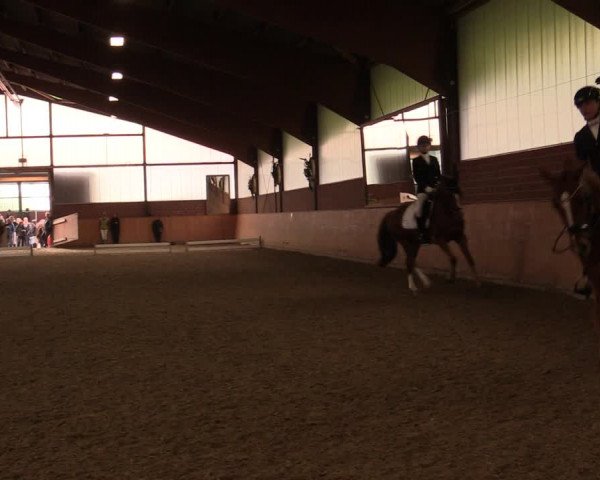 Reitturnier Iserlohn-Kalthof 2019