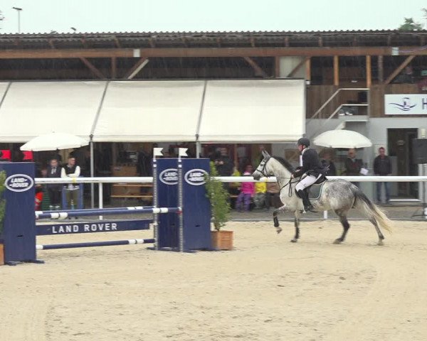 Reitturnier Münsingen 2019