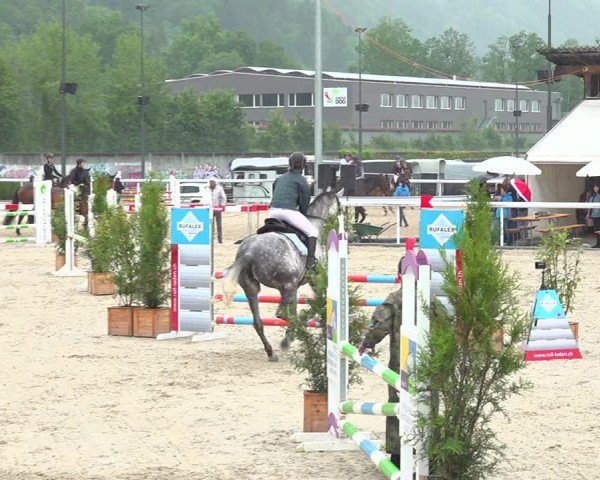 Reitturnier Münsingen 2019
