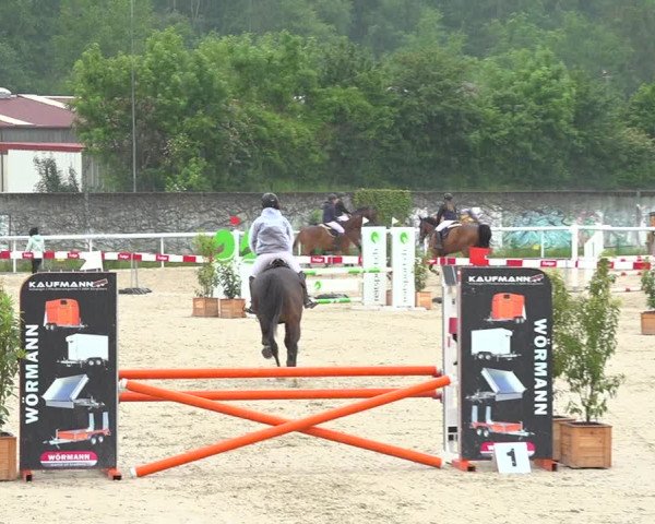 Reitturnier Münsingen 2019