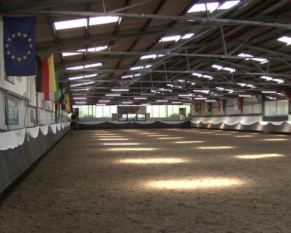 Reitturnier Bochum-Nord 2019