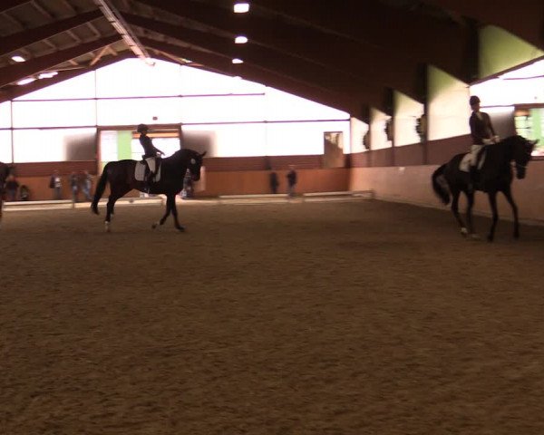 Reitturnier Iserlohn-Kalthof 2019