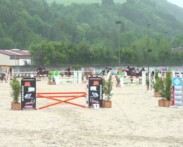 Reitturnier Münsingen 2019