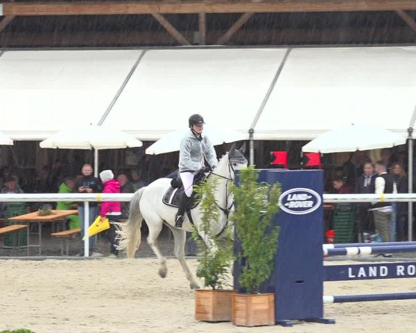 Reitturnier Münsingen 2019