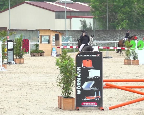 Reitturnier Münsingen 2019