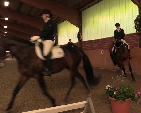 Reitturnier Iserlohn-Kalthof 2019