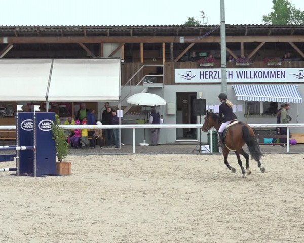 Reitturnier Münsingen 2019
