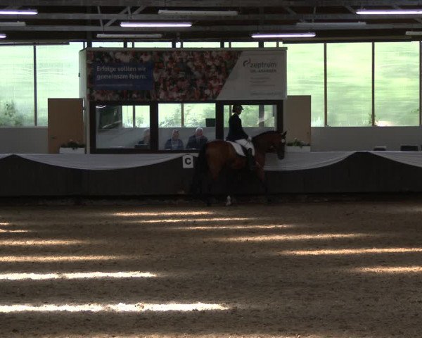 Reitturnier Bochum-Nord 2019