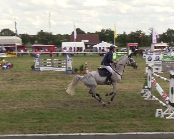 Reitturnier Rendsburg 2019