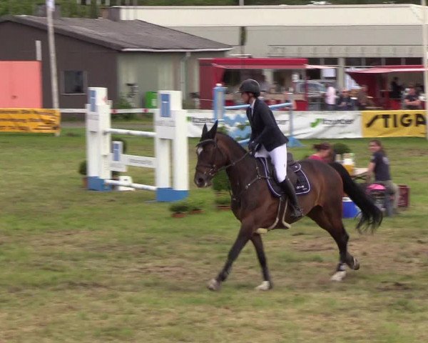 Reitturnier Rendsburg 2019