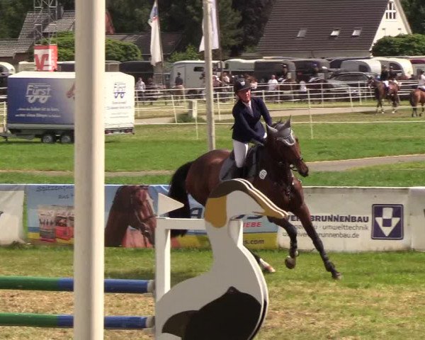 Reitturnier Rendsburg 2019