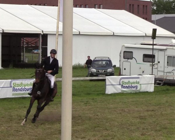 Reitturnier Rendsburg 2019
