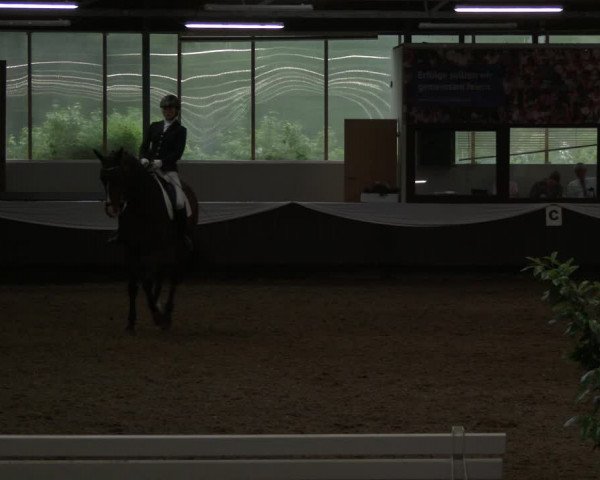 Reitturnier Bochum-Nord 2019
