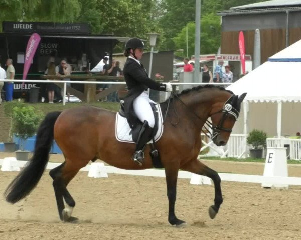 Reitturnier Nußloch 2019