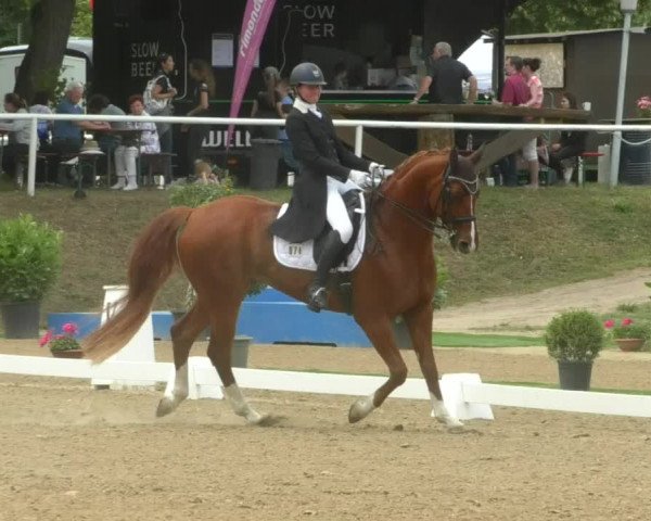 Reitturnier Nußloch 2019