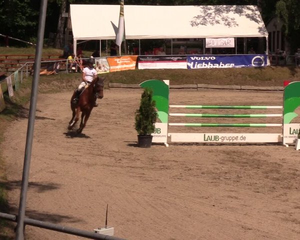 Reitturnier Lgl.-Oberhain, B95 2019