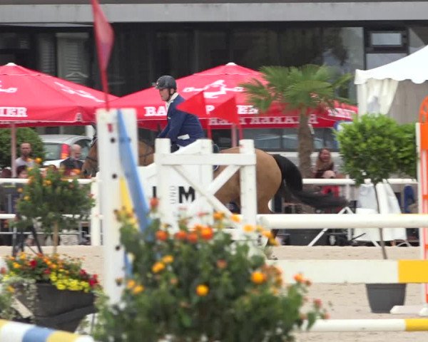 Reitturnier Zug 2019