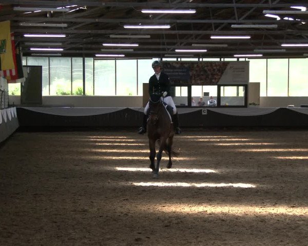 Reitturnier Bochum-Nord 2019