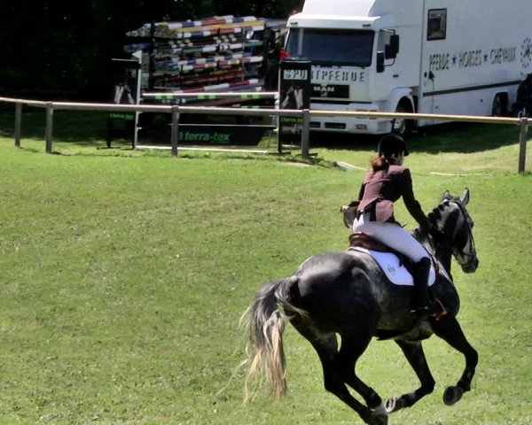 Reitturnier Jettingen 2019