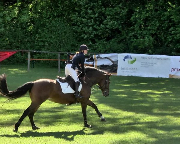 Reitturnier Jettingen 2019