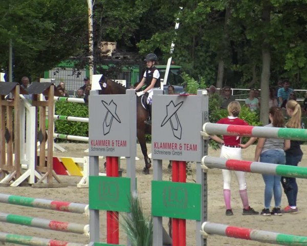 Reitturnier Bochum-Nord 2019