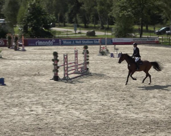 Reitturnier Westergellersen 2021