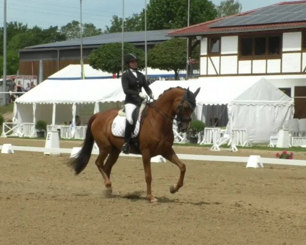 Reitturnier Nußloch 2019