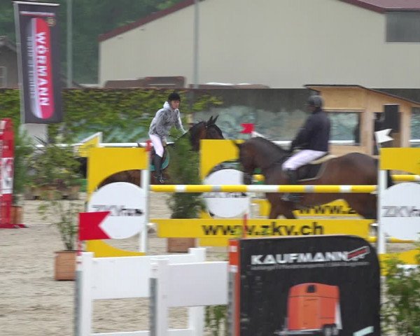 Reitturnier Münsingen 2019