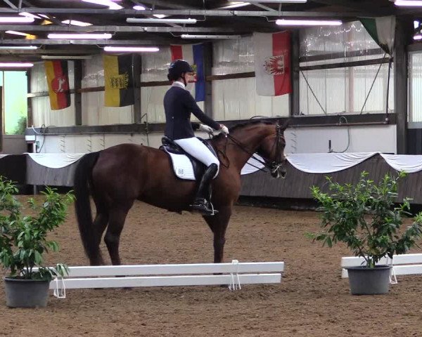 Reitturnier Bochum-Nord 2019