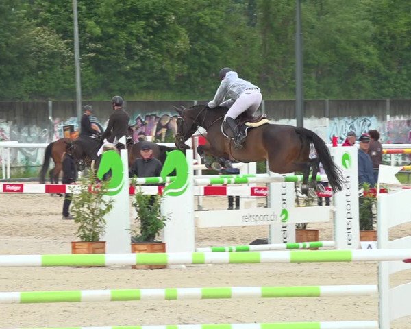 Reitturnier Münsingen 2019