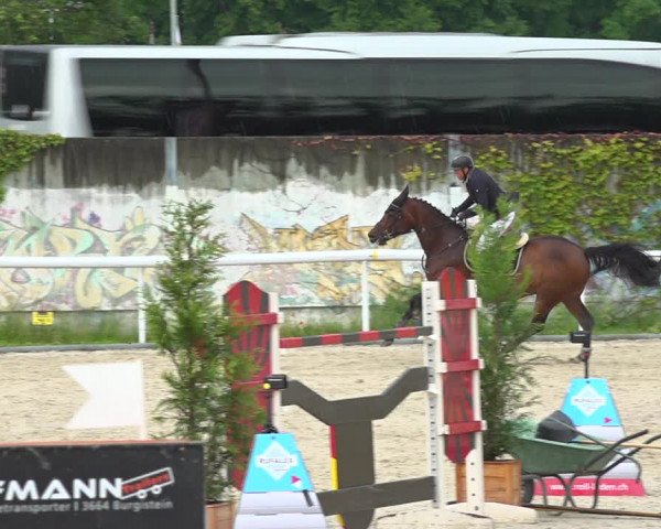 Reitturnier Münsingen 2019