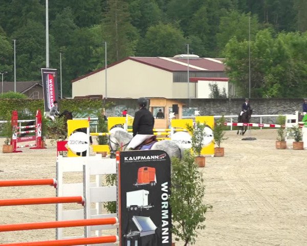 Reitturnier Münsingen 2019