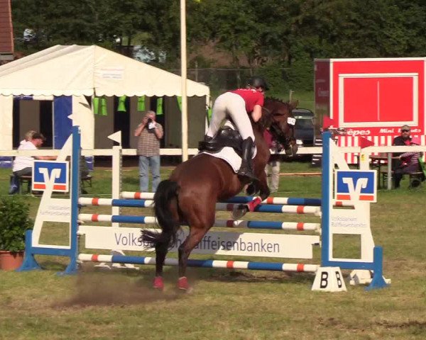 Reitturnier Rendsburg 2019