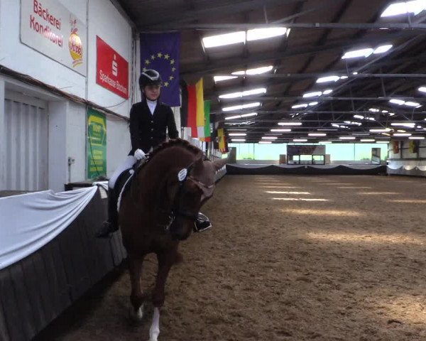 Reitturnier Bochum-Nord 2019