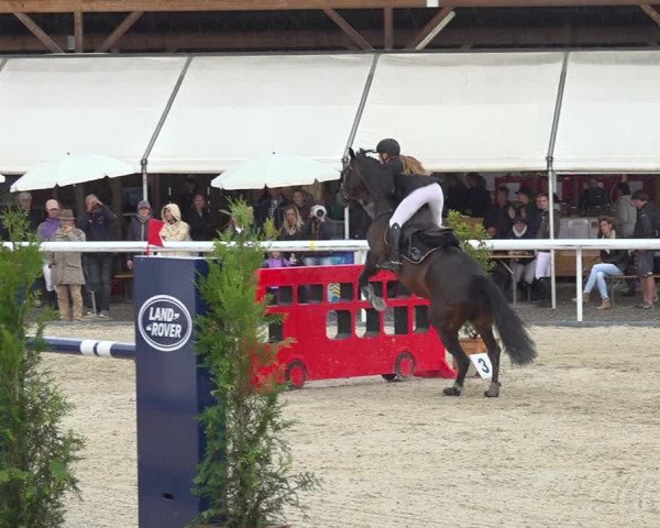 Reitturnier Münsingen 2019