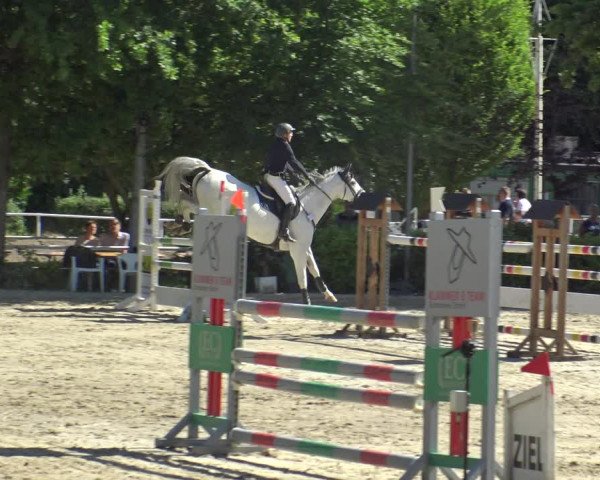Reitturnier Bochum-Nord 2019