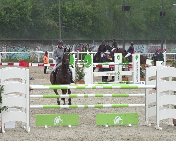 Reitturnier Münsingen 2019