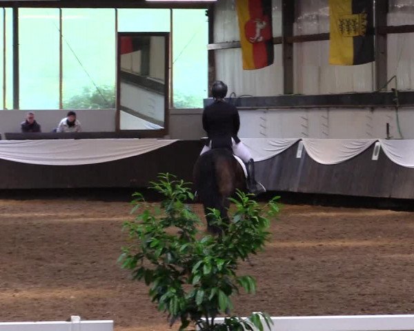 Reitturnier Bochum-Nord 2019