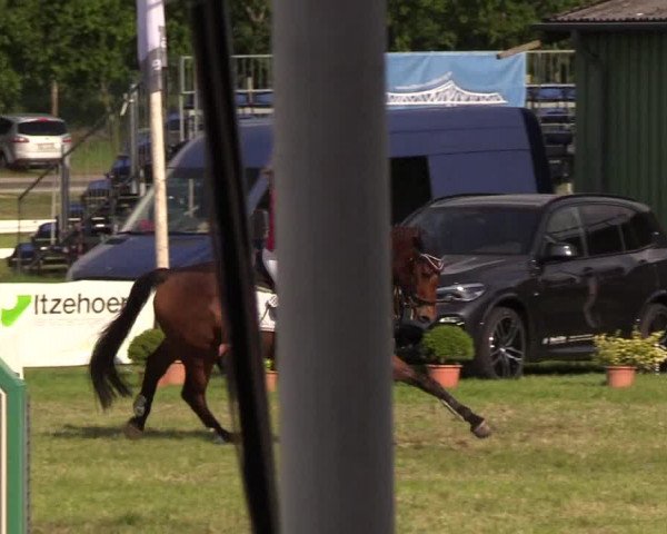 Reitturnier Rendsburg 2019