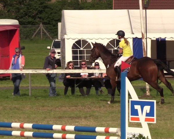 Reitturnier Rendsburg 2019