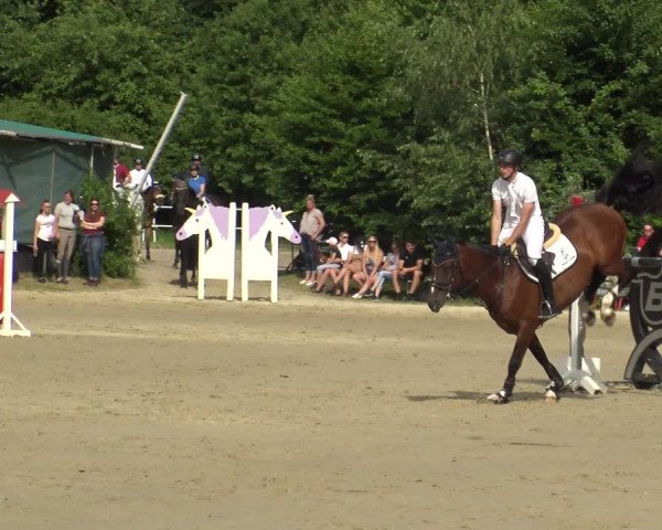 Reitturnier Bochum-Nord 2019