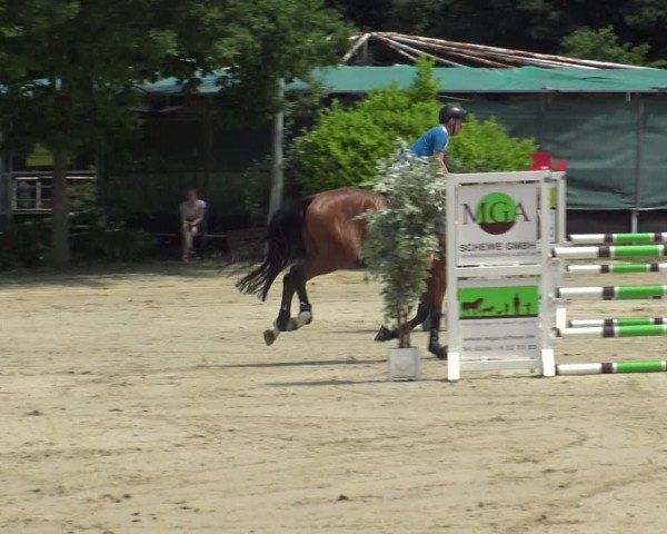 Reitturnier Bochum-Nord 2019