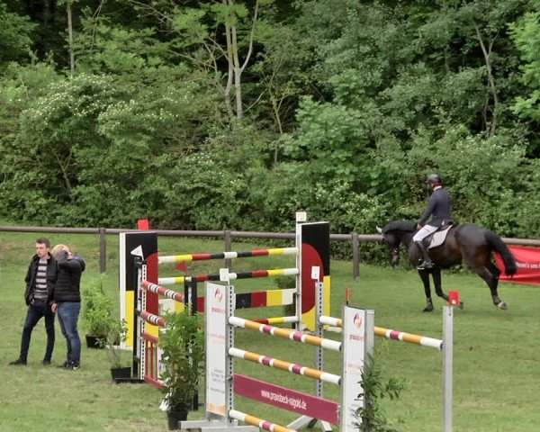 Reitturnier Jettingen 2019
