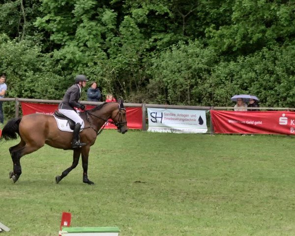 Reitturnier Jettingen 2019