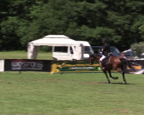Reitturnier Borken 2019