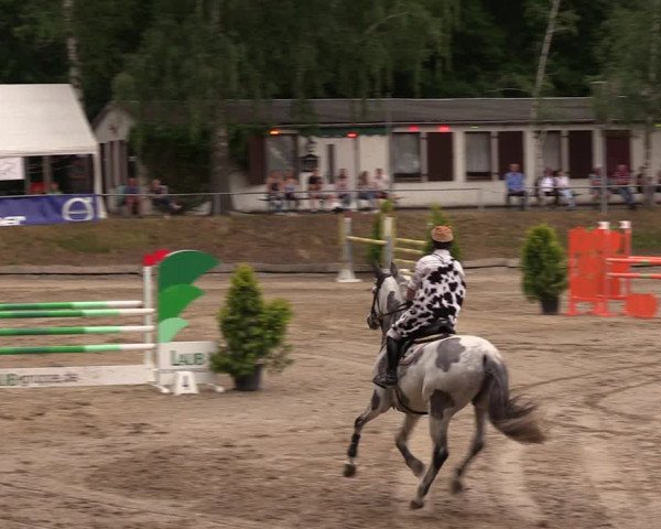 Reitturnier Lgl.-Oberhain, B95 2019