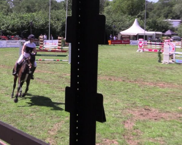 Reitturnier Borken 2019