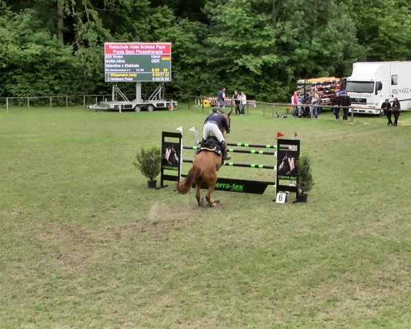 Reitturnier Jettingen 2019