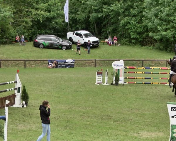 Reitturnier Jettingen 2019