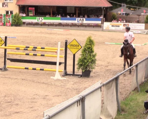 Reitturnier Lgl.-Oberhain, B95 2019